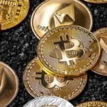 alternatif para brimi