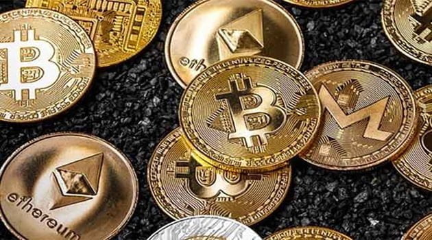 alternatif para brimi