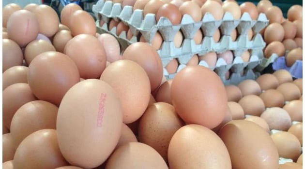 Sahte Organik yumurtaya dikkat...