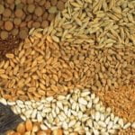 Tarım sektörünün önemi