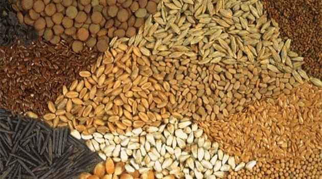 Tarım sektörünün önemi