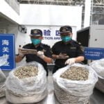 Kenya’dan hamsi ithalatına başladı