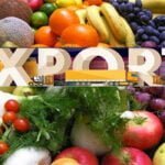 İTO'ya göre Kasım ayında fiyatı en çok artan ve azalan ürünler