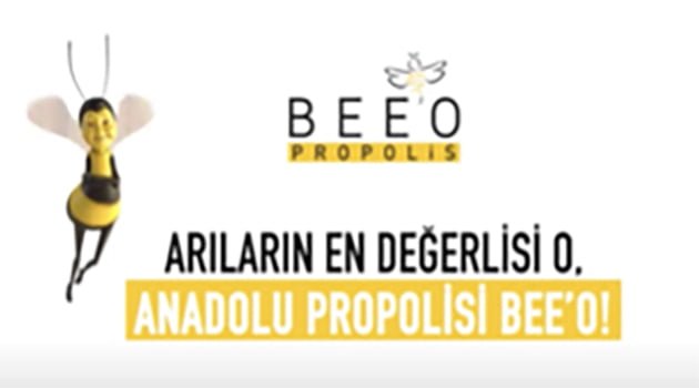 BEE&YOU, Amerika pazarında da iddialı