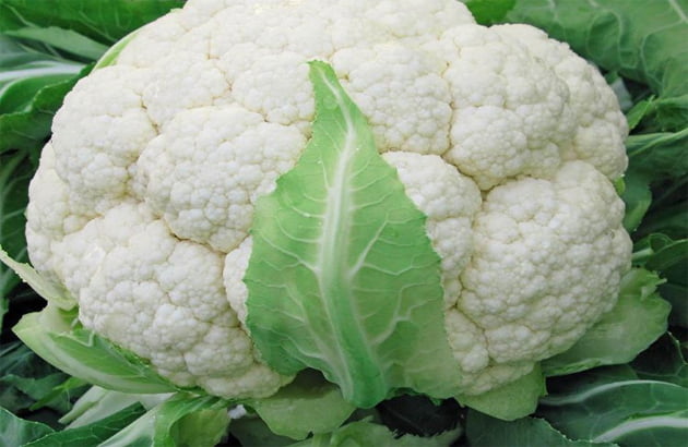 subat-ayinda-zam-sampiyonu